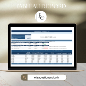 Elisa Gestion & Co - tableau de bord micro-entreprise